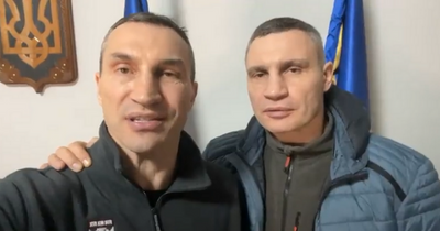 Who are the Klitschko brothers? Meet the heavyweight champions 'ready to die' for Ukraine