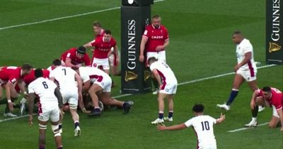 Wales insist they will pick Tomas Francis despite ongoing review into incident that sparked outrage