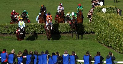 JP McManus' exciting new horse "on song" for Cheltenham Festival clash with Tiger Roll