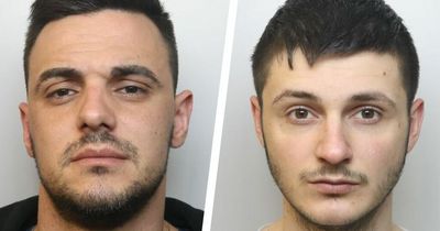 Cannabis growers who tended Kingswood factory are jailed