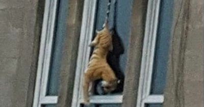 Bizarre moments captured on camera on Google street view as it travels around our cities