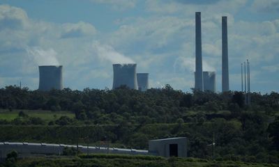AGL Energy chief executive uncertain if takeover bid is really over