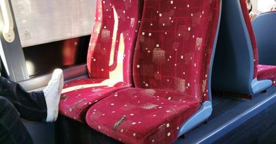 Edinburgh mum horrified as 'vile' bus passenger scrapes mud all over seats