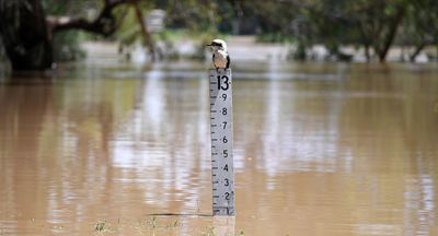 When the river runs high