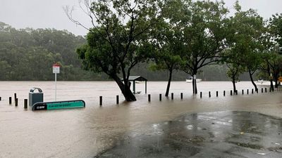 The Loop: More flood evacuations in NSW, some progress at Ukraine and Russia peace talks, the Queen resumes her duties and bull sharks 'on the chomp'