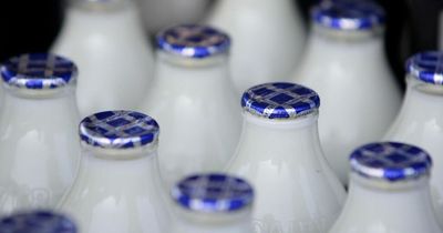 Waitrose attempts to keep a lid on plastic waste by removing coloured caps on milk bottles in recycling trial