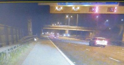 M60 drivers stopped for travelling in closed lanes