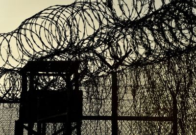 Mentally ill Guantanamo detainee repatriated to Saudi Arabia