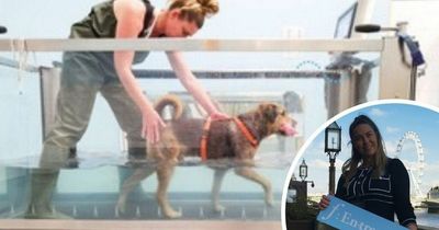 Dog rehab developer named as Top 100 female entrepreneur after throwing in towel on swim teaching