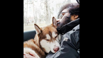 Nashik youth stayed back for 4 days in Odessa to get pet passport for his husky
