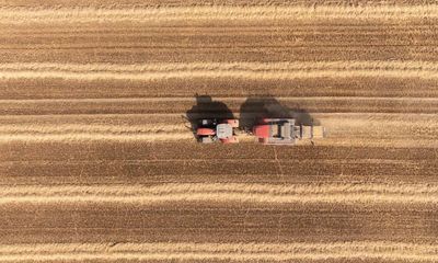 Surge in fertiliser prices from Russia-Ukraine war adds to pressure on UK farmers