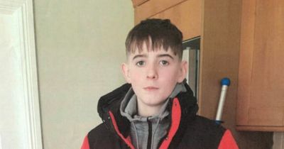 Gardai launch appeal to trace missing 16-year-old from Meath