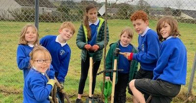 Kirkgunzeon Primary's Eco Group plant cherry tree gifted by school leavers