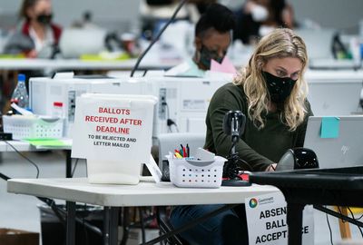 Trump supporters hunt for voter fraud