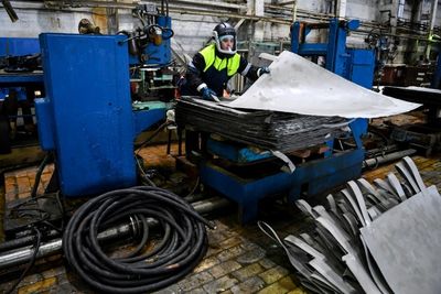 London suspends nickel trade after record spike