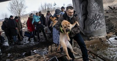 Ukraine no fly zone: Why does President Zelensky want one and why won't Nato enforce it?