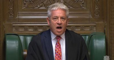 Former Commons speaker John Bercow found to be 'serial bully'