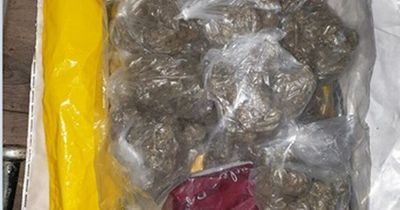 Drugs seized, woman trapped in car and camera catches hooded man