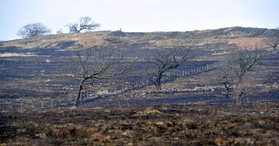 The devastating aftermath of huge wildfire on Welsh mountainside