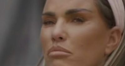 Fans brand Katie Price 'unrecognisable' on What Harvey Did Next amid changing face