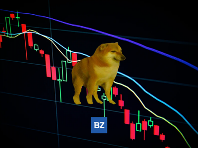 Cryptocurrency Dogecoin Decreases More Than 3% Within 24 hours