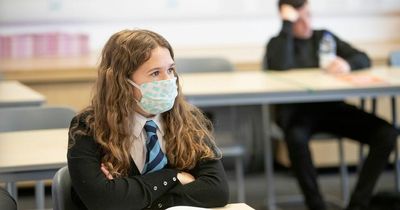 Pupil Covid absences drop to lowest level since pandemic began