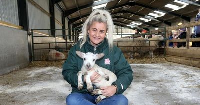 One in a million five-legged lamb born at Whitehouse Farm in Northumberland