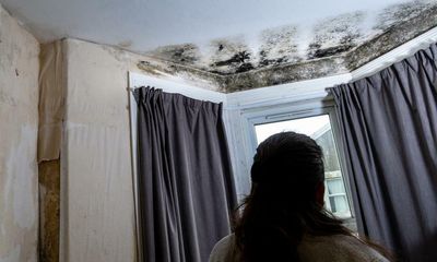 How to get rid of mould as floods, wet weather and extreme humidity hit NSW and Queensland
