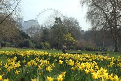 London weather forecast: Return of ‘spring-like’ conditions next week to the capital