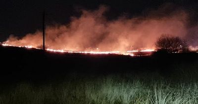 Families evacuated and firefighters abused by teens as grass fires rage next to Swansea homes