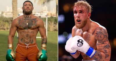 Conor McGregor told only he can stop Jake Paul after return to boxing training