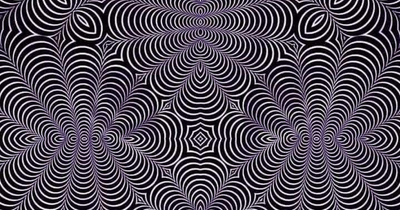 The animal you spot in this optical illusion apparently says a lot about you