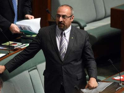 Don't push India too hard on Russia: MP