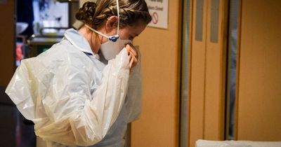 Ministers plan to burn mountains of unusable PPE bought during Covid pandemic