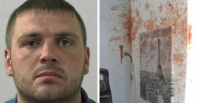 Blyth burglar trashed mum's home by squirting tomato sauce over sofas, door, ceiling and mirror