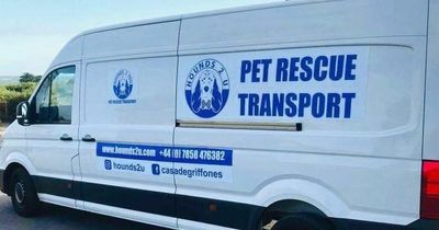 Lanarkshire dog rescue centre helps to support Ukraine with donations