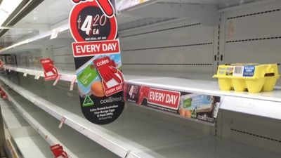 Climate change already pushing up food prices, causing shortages and will get worse, report says