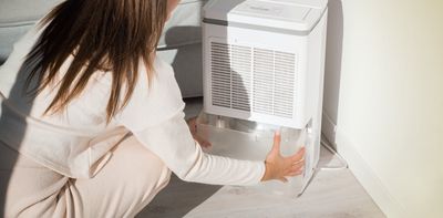 Thinking of buying a dehumidifier? Advice from an expert on mould and damp