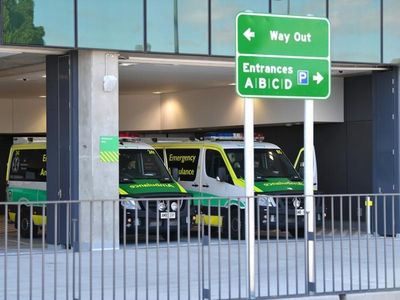 Japanese encephalitis confirmed in SA