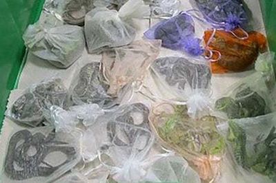 Smuggler caught with 52 live lizards and snakes hidden in his clothing on US Mexico border