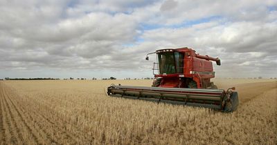 Irish bread prices almost certain to rise as Ukraine bans exports of grain until end of 2022