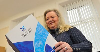 New Dumfries and Galloway chamber of commerce chief urges more business bosses to sign up