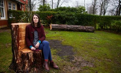 ‘It was magnificent – I’d look at it in awe’: the beloved trees felled by storms Dudley, Eunice and Franklin