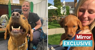 'Fate brought me my dog after horrifying ectopic pregnancy - now we're going to Crufts'