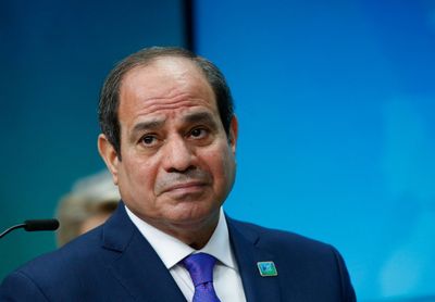 Egypt's Sisi and Russia's Putin discuss developments in Ukraine - presidency