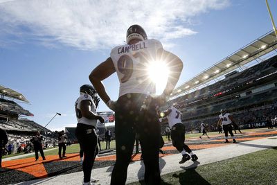 Cardinals could reunite with Ravens DL Calais Campbell