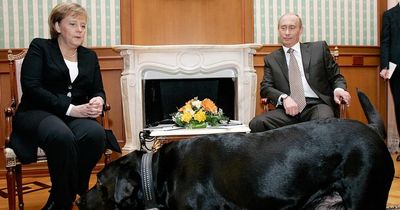 Putin's pet dog who he used to intimidate nervous political rival and journalist threat
