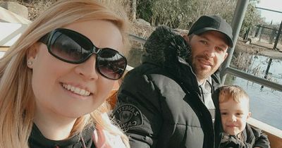 Monkey batters seagull, crash blocks road and couple with dogs forced to leave home