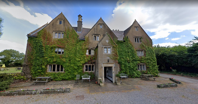 Hotel site where dogs kept in horrific conditions up for sale