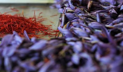 Saffron was first domesticated in Bronze Age Greece, ancient art and genetics suggest